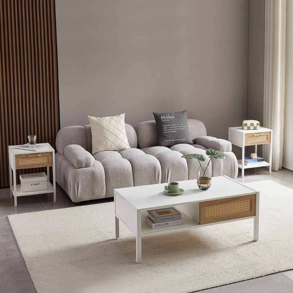 40.16 Rattan Coffee Table With Sliding Door, Metal Legs - Modern Living Room