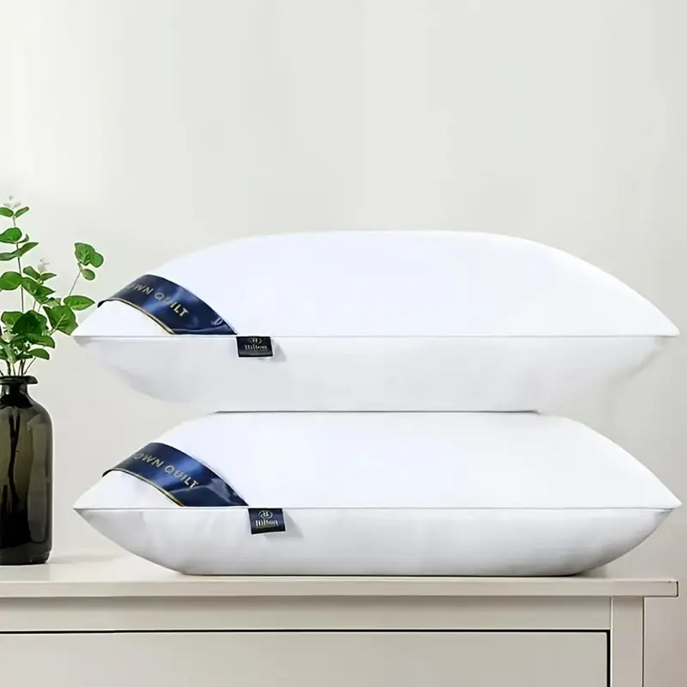 Bed Pillows Blue