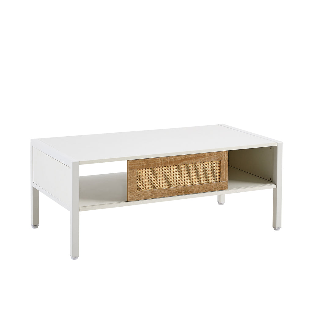 40.16 Rattan Coffee Table With Sliding Door, Metal Legs - Modern Living Room