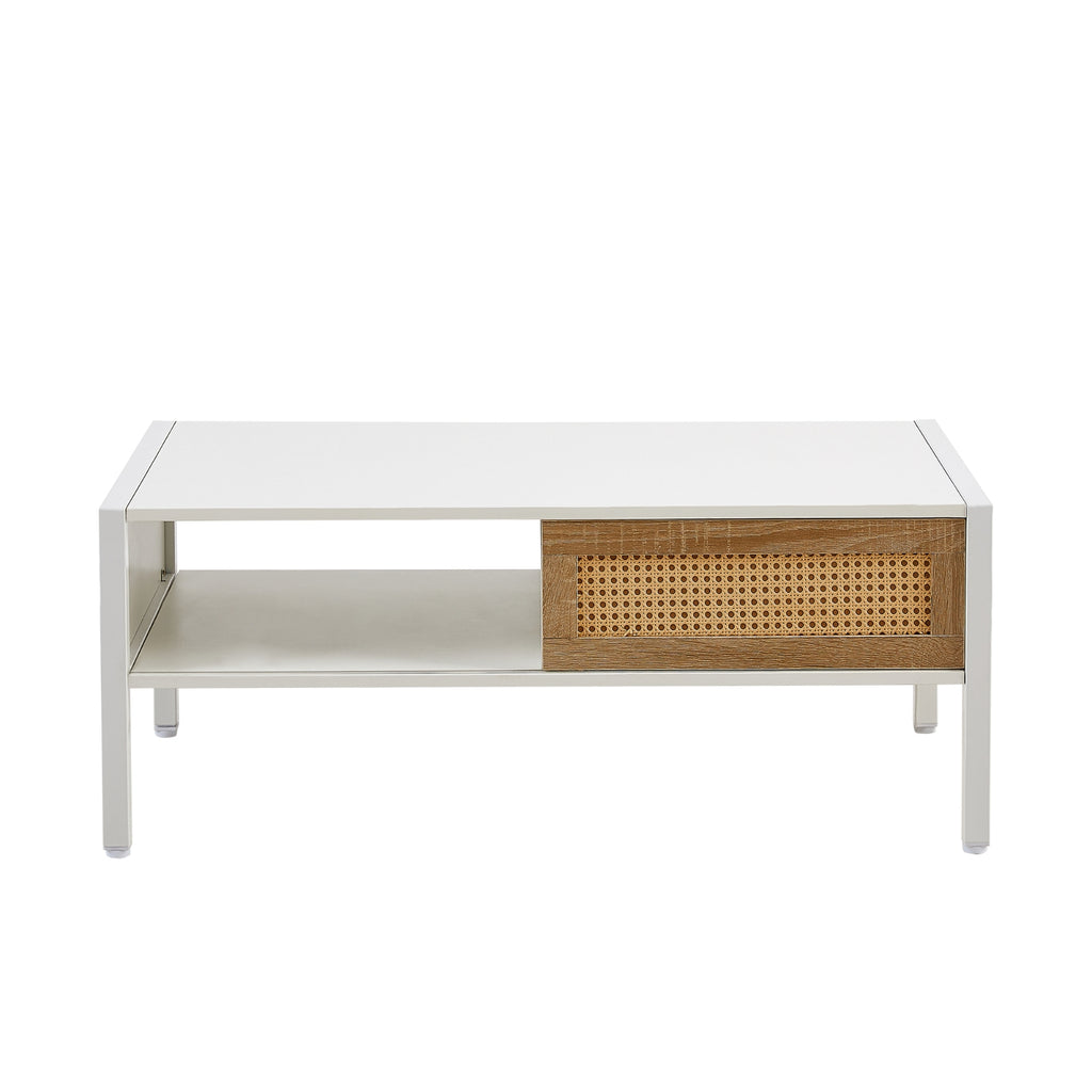 40.16 Rattan Coffee Table With Sliding Door, Metal Legs - Modern Living Room