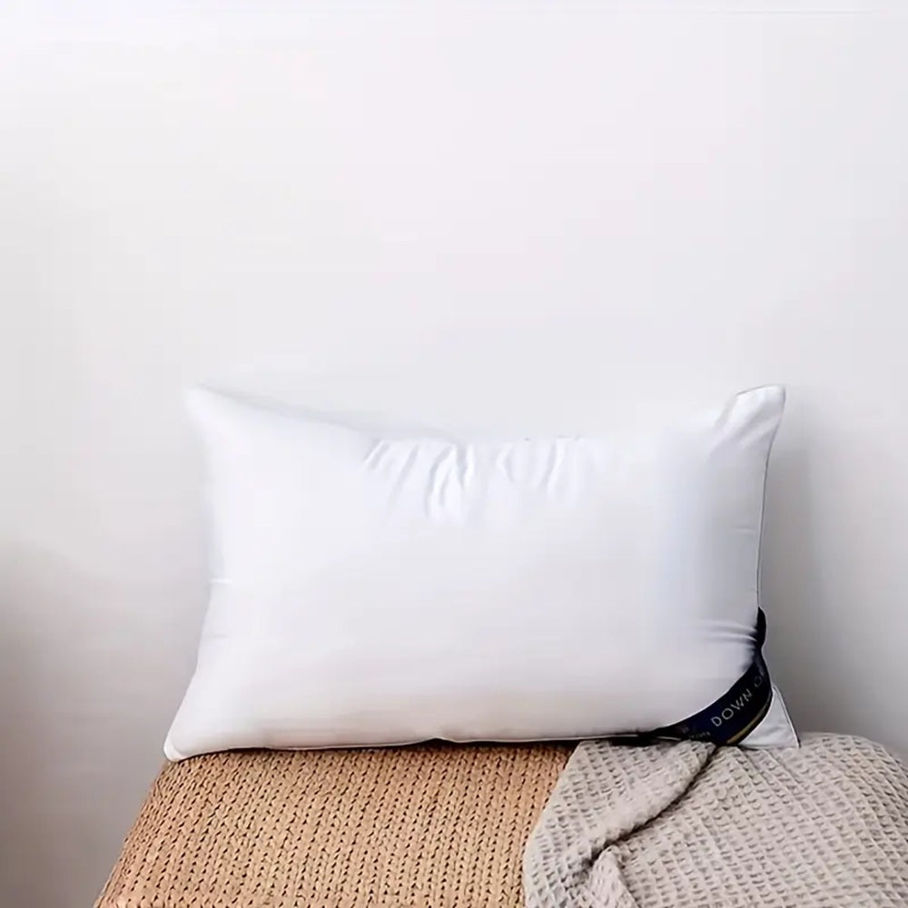 Bed Pillows Blue